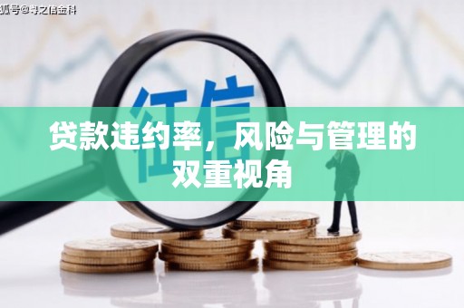库尔勒贷款违约率，风险与管理的双重视角