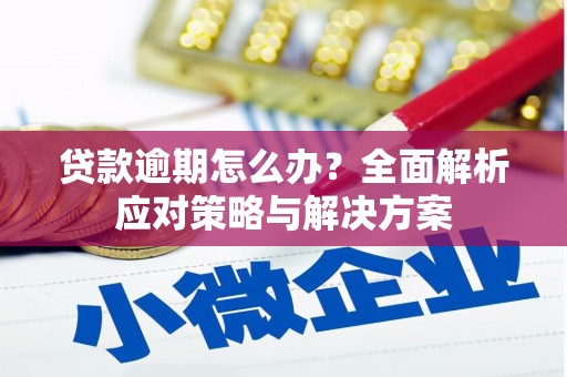 宁城贷款逾期怎么办？全面解析应对策略与解决方案