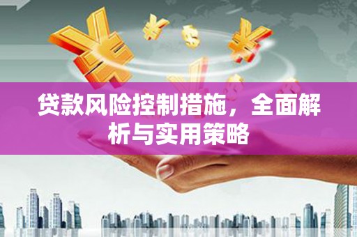 柳东贷款风险控制措施，全面解析与实用策略