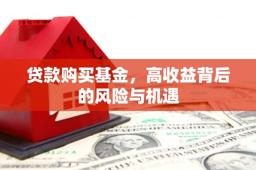 金乡贷款购买基金，高收益背后的风险与机遇