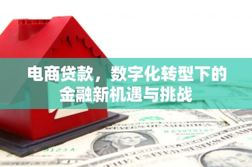 普格电商贷款，数字化转型下的金融新机遇与挑战