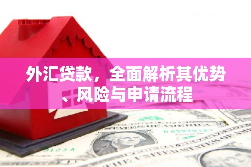 民勤外汇贷款，全面解析其优势、风险与申请流程