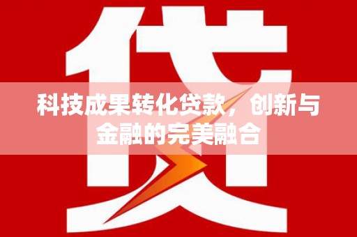冕宁科技成果转化贷款，创新与金融的完美融合