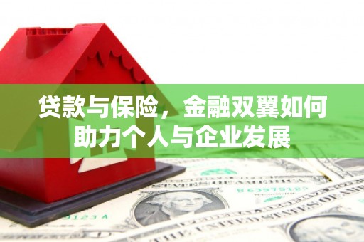 白山贷款与保险，金融双翼如何助力个人与企业发展