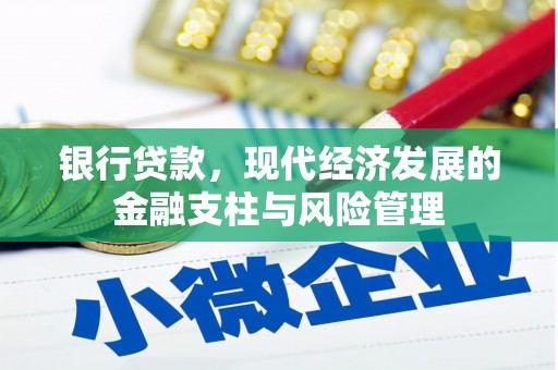 修文银行贷款，现代经济发展的金融支柱与风险管理