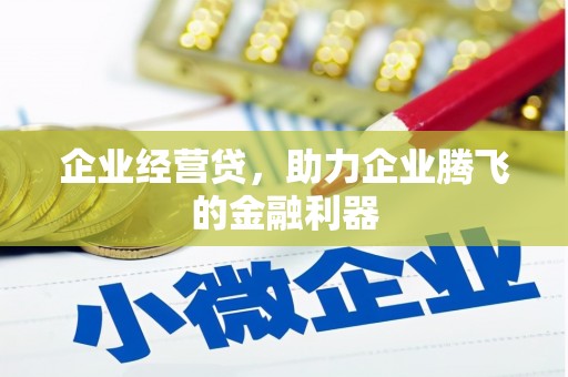 三亚企业经营贷，助力企业腾飞的金融利器