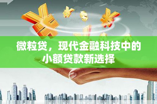 英德微粒贷，现代金融科技中的小额贷款新选择