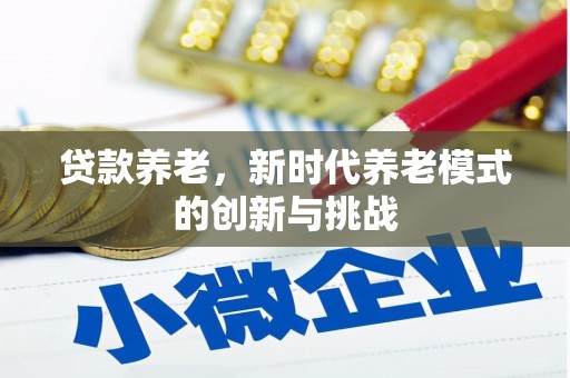 长岭贷款养老，新时代养老模式的创新与挑战