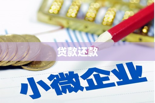 遂宁贷款还款