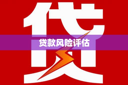 苏澳贷款风险评估