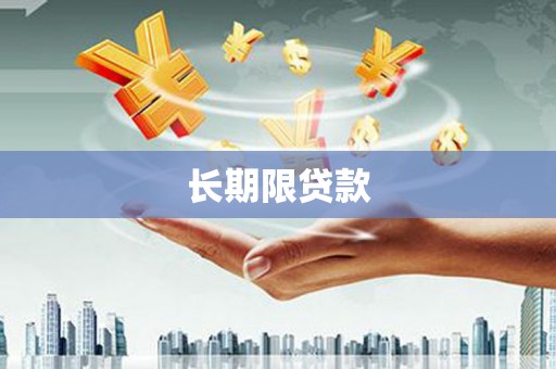 小店长期限贷款