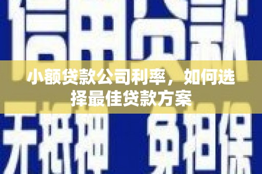 公馆小额贷款公司利率，如何选择最佳贷款方案