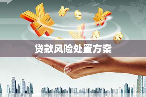 磁县贷款风险处置方案