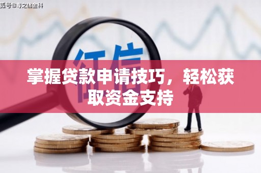 驻马店掌握贷款申请技巧，轻松获取资金支持