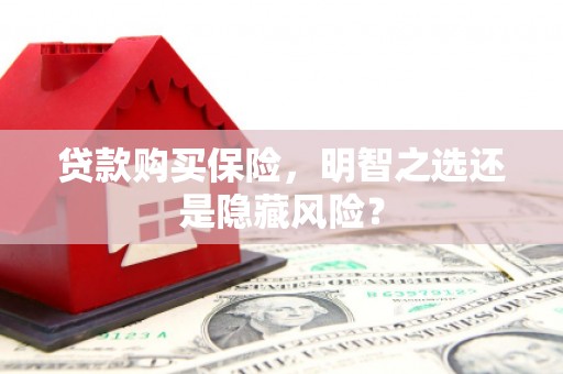 商南贷款购买保险，明智之选还是隐藏风险？