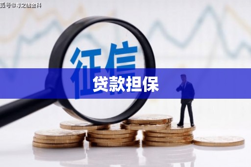 坦洲贷款担保