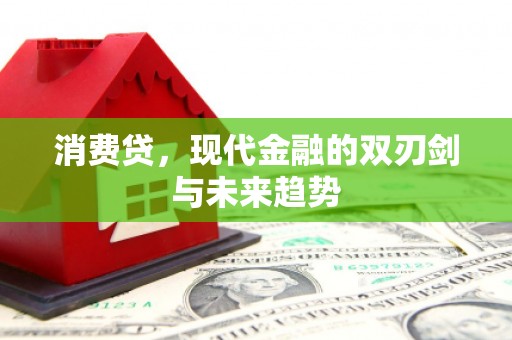 固始消费贷，现代金融的双刃剑与未来趋势