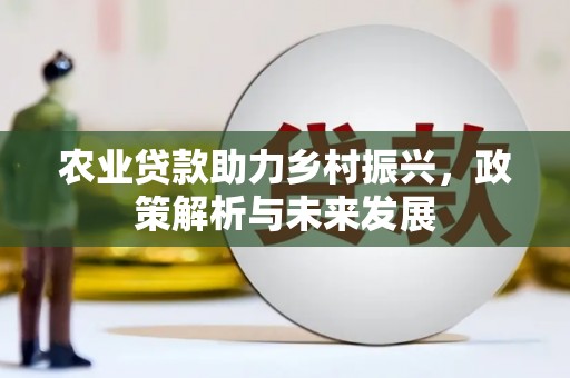 台南农业贷款助力乡村振兴，政策解析与未来发展