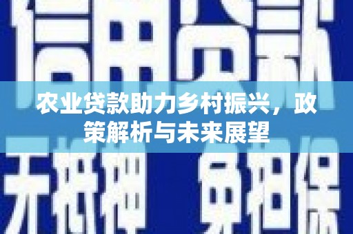 鸡东农业贷款助力乡村振兴，政策解析与未来展望
