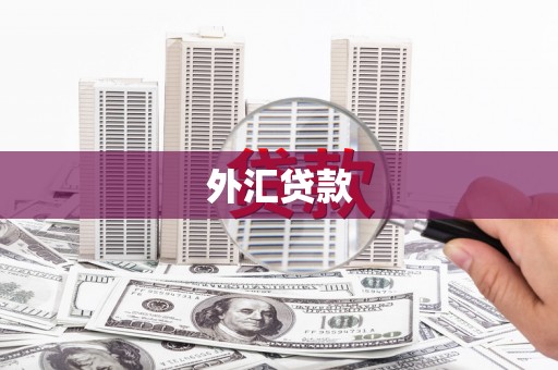 将军外汇贷款