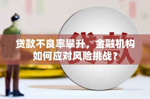 山阴贷款不良率攀升，金融机构如何应对风险挑战？