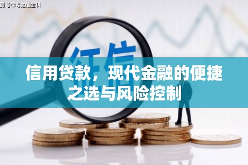 英德信用贷款，现代金融的便捷之选与风险控制