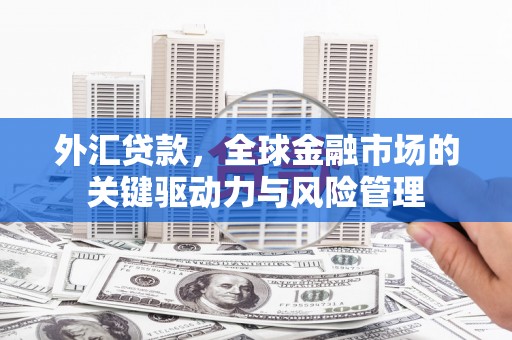 溆浦外汇贷款，全球金融市场的关键驱动力与风险管理