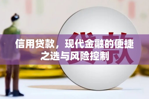 蒲城信用贷款，现代金融的便捷之选与风险控制