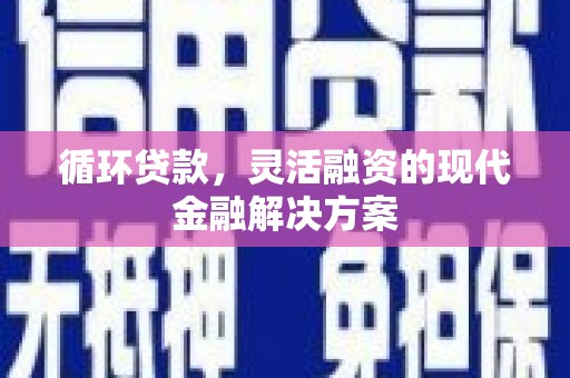 庄浪循环贷款，灵活融资的现代金融解决方案