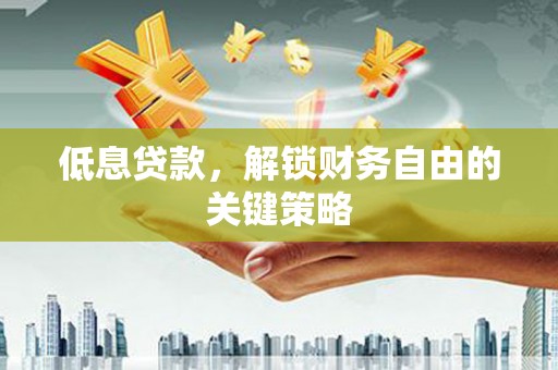 定陶低息贷款，解锁财务自由的关键策略