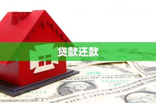 埌东贷款还款