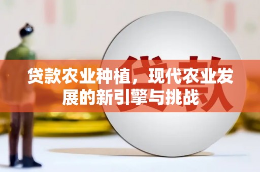美姑贷款农业种植，现代农业发展的新引擎与挑战