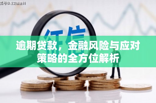 乌恰逾期贷款，金融风险与应对策略的全方位解析