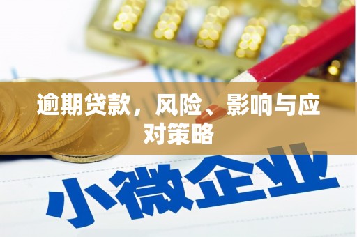 蒙阴逾期贷款，风险、影响与应对策略