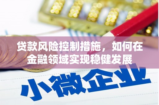 赫山贷款风险控制措施，如何在金融领域实现稳健发展