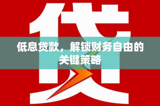 沈丘低息贷款，解锁财务自由的关键策略
