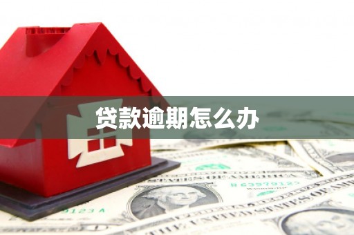 项城贷款逾期怎么办