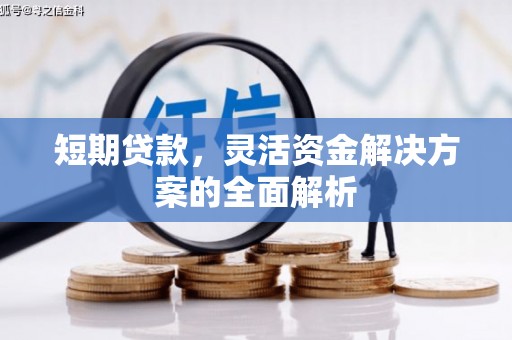 温岭短期贷款，灵活资金解决方案的全面解析