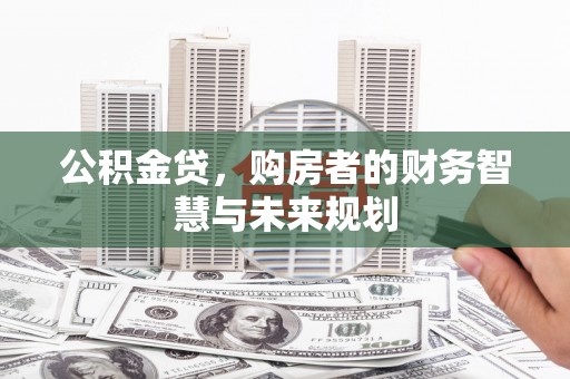 龙文公积金贷，购房者的财务智慧与未来规划