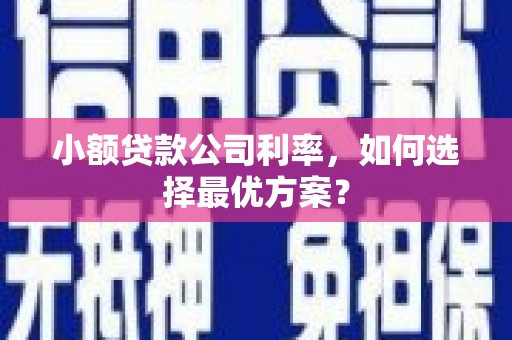 普湾新区小额贷款公司利率，如何选择最优方案？