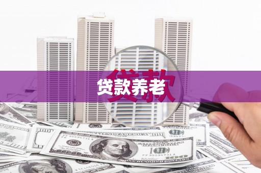 宜城贷款养老