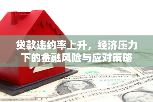 仑背贷款违约率上升，经济压力下的金融风险与应对策略
