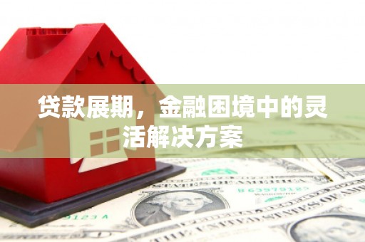 延边贷款展期，金融困境中的灵活解决方案