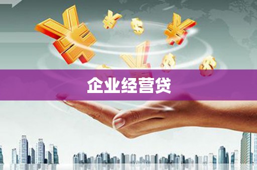 柳东企业经营贷