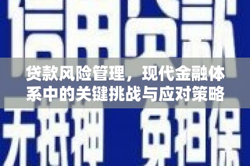 清流贷款风险管理，现代金融体系中的关键挑战与应对策略
