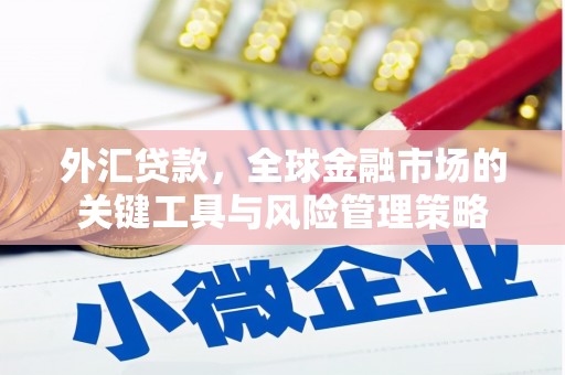 集贤外汇贷款，全球金融市场的关键工具与风险管理策略