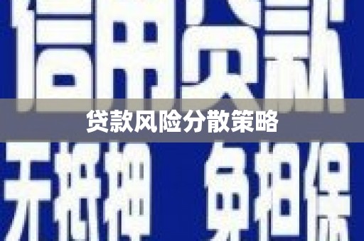 碌曲贷款风险分散策略