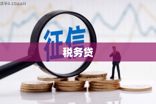 江海税务贷
