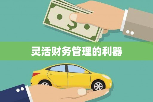忻府灵活财务管理的利器