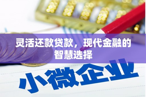 双河灵活还款贷款，现代金融的智慧选择